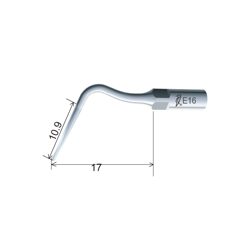 Insert E16 - DTE Woodpecker