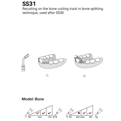 Insert SS31 Piezo - DTE Woodpecker